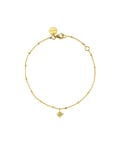 North Star Bracelet Gold