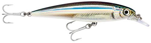 Rapala - Leurre de Pêche X-Rap Saltwater - Matériel de Pêche pour les Gros Prédateurs - Leurre Pêche Mer Tout Poisson - Profondeur de Nage 1.2-1.8m - 10cm / 13g - Fabriqué en Estonie - Anchovy