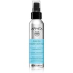 Apivita Greek Mountain Tea Face Water antioxidant hydrating mist 100 ml