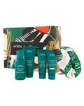 Aveda Botanical Repair Light Holiday Set