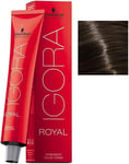 Schwarzkopf IGORA ROYAL Permanent 60 millilitre (Pack of 1), Dark Blonde