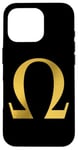 iPhone 16 Pro Alpha Omega Letter Greek Alphabet Case