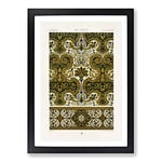 Big Box Art Ornate 17th Century Pattern by Albert Racinet Framed Wall Art Picture Print Ready to Hang, Black A2 (62 x 45 cm)