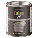 Paint Factory Black Iron Gate Gloss Tin Paint Fast Drying for Exterior Use 300ml