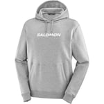 SALOMON Logo Performance Hoodie Gris M 2025 - *prix inclut le code EXTRA20