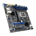 ASUS P13R-M/10G-2T  MicroATX  1x LGA 1700 DDR5  2x10G ASMB11