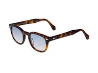 Lunettes de soleil style Moscot XLAB 8004, 48 mm, Havane foncé/Bleu dégradé, Unisexe