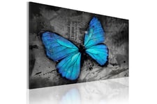 Taulu The study of butterfly 120x80 - Artgeist sp. z o. o.