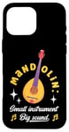 iPhone 16 Pro Max Mandolin Small Instrument Big Sound Mandolin Player Musician Case