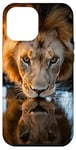 Coque pour iPhone 12 Pro Max Lion pour boire un trou d'eau