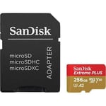 SanDisk Carte mémoire micro SD Extreme Plus microSDXC 256 Go - 0619659189068