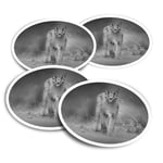 4x Round Stickers 10 cm - BW - Caracal African Lynx Cat  #38978