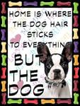 Shawprint Boston Terrier Dog Fridge Magnet 100mm x 75mm HOME IS WHERE THE DOG HAIR STICKS TO EVERYTHING BUT THE DOG Novelty Gift