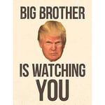 Wee Blue Coo Donald Trump Big Brother Colour 1984 George Orwell Art Print Poster Wall Decor 12X16 Inch