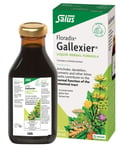 Floradix Gallexier Liquid Herbal Formula 250ml - Intestinal Tract Health Support