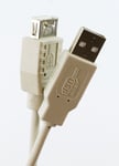 USB Extension Cable Lead BEIGE 25cm SHORT