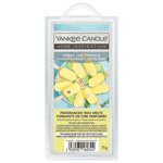 Yankee Candle Wax Melts Scented Home Room Fragrance Lemon Lime Popsicle 75g