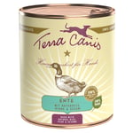 Terra Canis -säästöpakkaus 12 x 800 g - ankka, luonnonriisi, punajuuri, päärynä & seesami