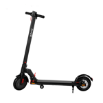 iEZway EZ3 300W Electric Scooter with two Auxiliary wheel