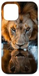 Coque pour iPhone 12/12 Pro Lion pour boire un trou d'eau