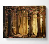 Land Of Trees Canvas Print Wall Art - Large 26 x 40 Inches