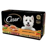 Cesar Sélections de Jardin, Nourriture pour Chien, sélection Assortie, 150 g, 24 bacs - 3600 g