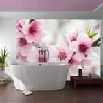 Arkiio Fototapet Spring, Blommande Träd Rosa Blommor A3-LFTNT1399-A