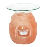 Himalayan Salt Lamp Natural Oil & Wax Burner Aromatherapy Fragrance Diffuser