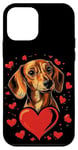 Coque pour iPhone 12 mini Coeurs de teckel pour la Saint-Valentin