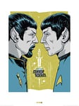 Star Trek (Mirror Mirror 50th Anniversary 60 x 80 cm Toile Imprimée