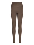 Franz W Tights Brown Athlecia