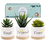 Best Friend Ever Succulent Pot Gift,Friendship Gifts for Women, Unique Birthday Gift Ideas for BFF, Mom, Small Garden Pots (Best Friend Ever)