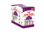 Royal Canin Cat Sensory Mixed box 85g x 12 stk