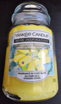 Yankee Candle Home Inspiration 538g Candle Jar 0 Lemon-Lime Popsicle