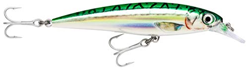 Rapala - Leurre de Pêche X-Rap Saltwater - Matériel de Pêche pour les Gros Prédateurs - Leurre Pêche Mer Tout Poisson - Profondeur de Nage 1.2-2.4m - 12cm / 22g - Fabriqué en Estonie - Green Mackerel