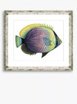 Brookpace Lascelles 'Tropical Fish 6' Framed Print & Mount, 36 x 46cm, Purple/Yellow