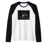 Don Quixote by Gustave Dore Raglan Baseball Tee