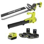 Pack Jardin Ryobi Souffleur à main 18V RY18BLA-0 + Taille-haie 18V RY18HT55A-0 + 2 batt 18V one+ 2,0Ah