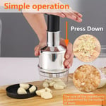 UK Manual Hand Press Garlic Onion Vegetable Food Chopper Cutter Processor Dicer