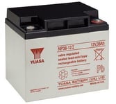 CoreParts UPS-batteri - blysyre - 38 Ah - 456 Wh