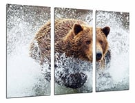 Tableau Moderne Photographique, Impression sur bois, Ours brun animal dans l'eau, la vie sauvage, 97 x 62 cm, ref. 26771