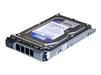 Origin Storage Nearline - Hårddisk - 500 Gb - Hot-Swap - 3,5" - Sas - 7200 Rpm - För Dell Poweredge R410, R510 (3,5"), R710 (3,5"), T410 (3,5"), T610 (3,5"), T710 (3,5")