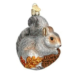 Old World Christmas Wildlife Animals Glass Blown Ornaments for Christmas Tree Hungry Squirrel