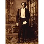 Wee Blue Coo Vintage Portrait Irish Celebrity Poet Playwright Oscar Wilde Art Print Poster Wall Decor 12X16 Inch