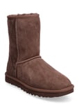 UGG W Classic Short Ii Brun