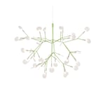 Moooi - Heracleum III, Suspended Small Green - Lysekroner - Bertjan Pot - Grønn