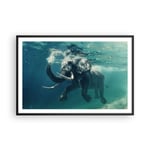 Affiche Poster 91x61cm Tableaux Image Photo éléphant animal eau Wall Art