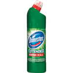 Domestos Mountain Fresh WC-Ren