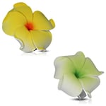 2 st Hårspänne Hårklämma Hår Accessoar -Gul & Grön Hawaii blomma