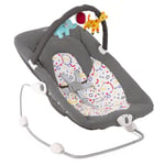 Graco Cheerie Infant Baby Bouncer Chair with Vibration - Confetti Grey